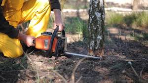 Best Pest Control for Lawns  in Blountsville, AL